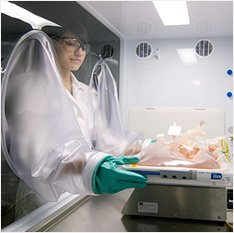 cell therapy bioreactor