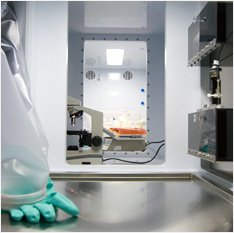 cell therapy workstation