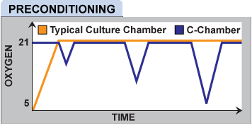 cchamber16