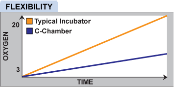 cchamber17