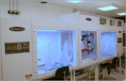 xvivo3 customer Tissue Engineering Winston