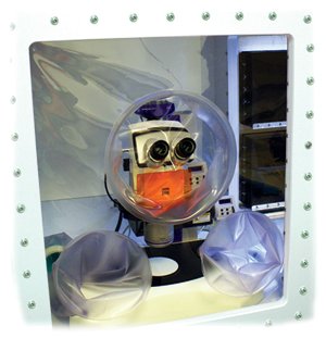 Microscope 5